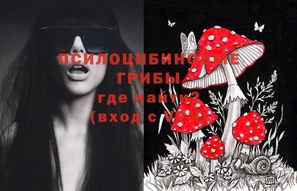 крисы Куйбышев