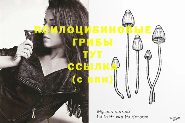 spice Волосово