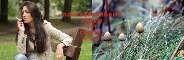 соль ск Володарск