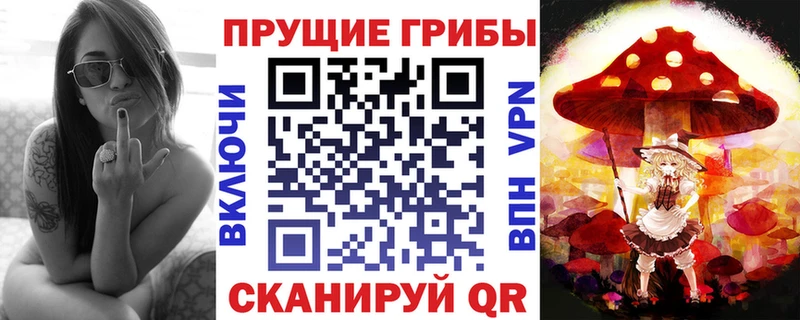 Псилоцибиновые грибы ЛСД  blacksprut сайт  Егорьевск 