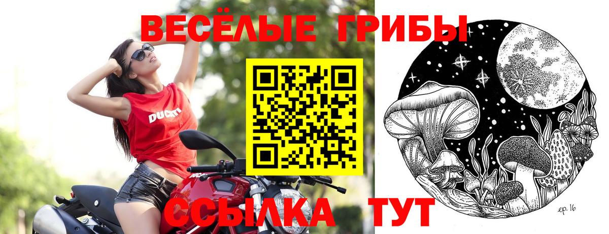 купить наркотики сайты  Псилоцибиновые грибы мухоморы  Вход с VPN  Егорьевск 