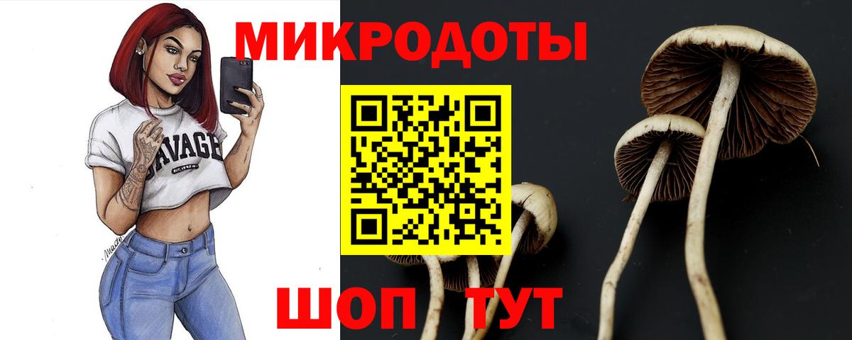 Галлюциногенные грибы мицелий  Егорьевск 